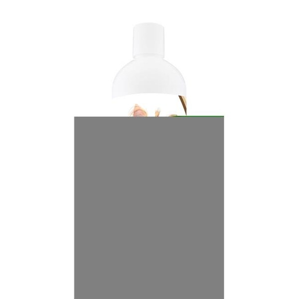 Healthy Breeds 840235116844 16 oz Yorkshire Terrier Oatmeal Shampoo with Aloe 840235116844 - main
